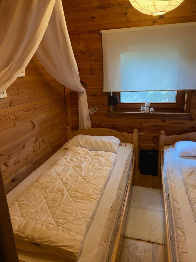 Blockhaus Ferienzauber Villa Bromskirchen Bagian luar foto